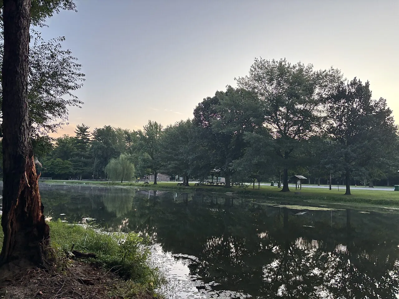 Trees and picnic tables reflected in the pond at Dobbs Park